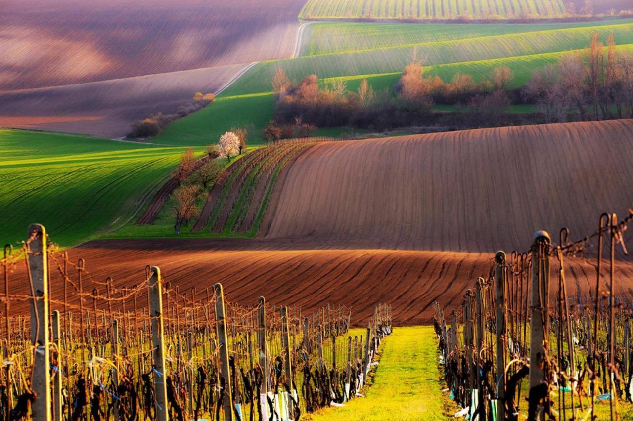 U Pepana * Kyjov (Hodonin District)